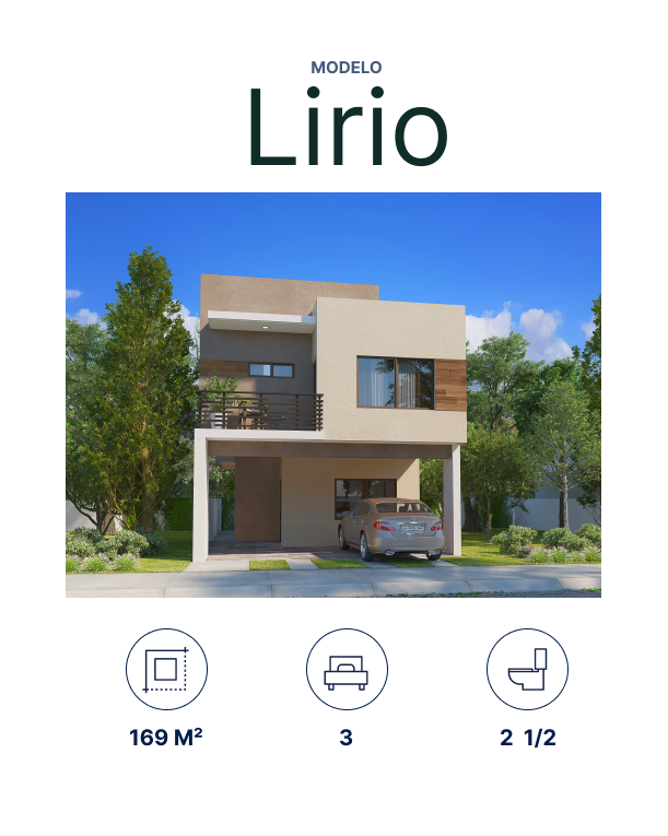 lirio