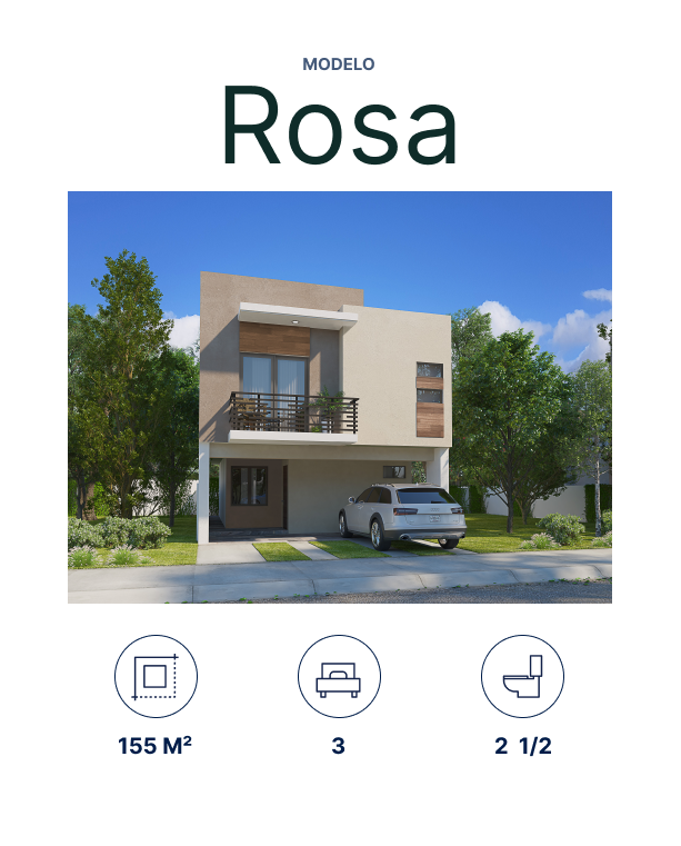 rosa